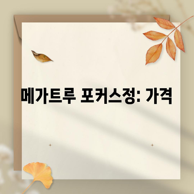 메가트루 포커스정: 가격