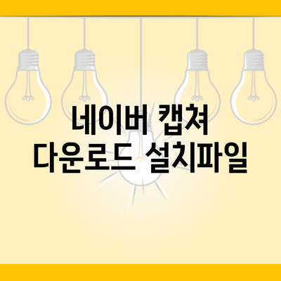 네이버 캡쳐 다운로드 설치파일