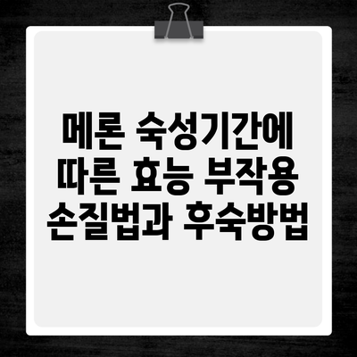 메론 숙성기간에 따른 효능 부작용 손질법과 후숙방법