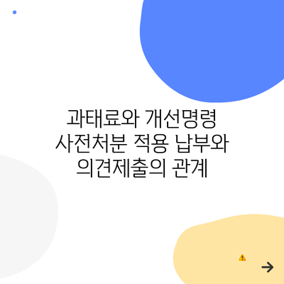 과태료와 개선명령 사전처분 적용 납부와 의견제출의 관계