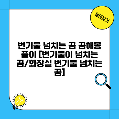 변기물 넘치는 꿈 꿈해몽 풀이 [변기물이 넘치는 꿈/화장실 변기물 넘치는 꿈]