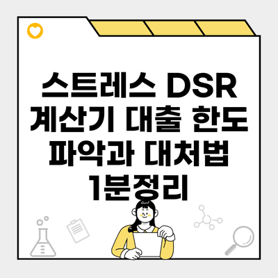 스트레스 DSR 계산기 대출 한도 파악과 대처법 1분정리