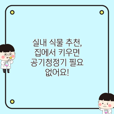 실내 식물 추천, 집에서 키우면 공기청정기 필요 없어요!