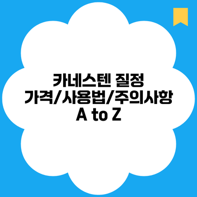 카네스텐 질정 가격/사용법/주의사항 A to Z