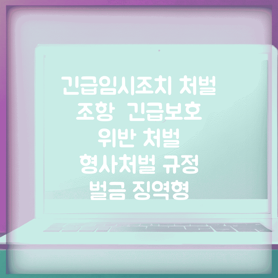 긴급임시조치 처벌 조항 | 긴급보호 위반 처벌 | 형사처벌 규정 | 벌금 징역형