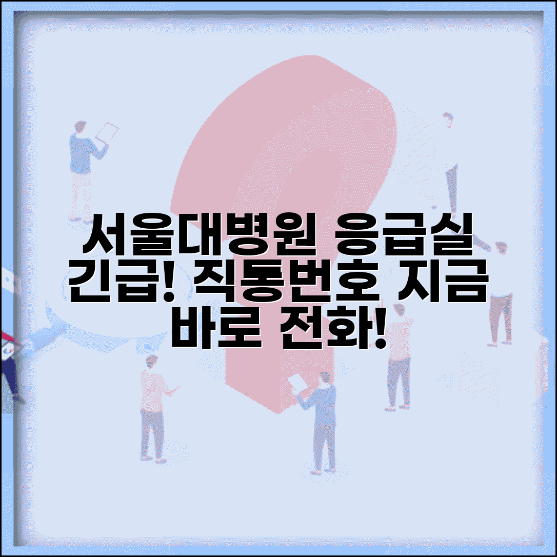 서울대병원 응급실 전화번호 | 서울대병원 응급실 직통