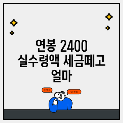 연봉 2400 실수령액 세금떼고 얼마
