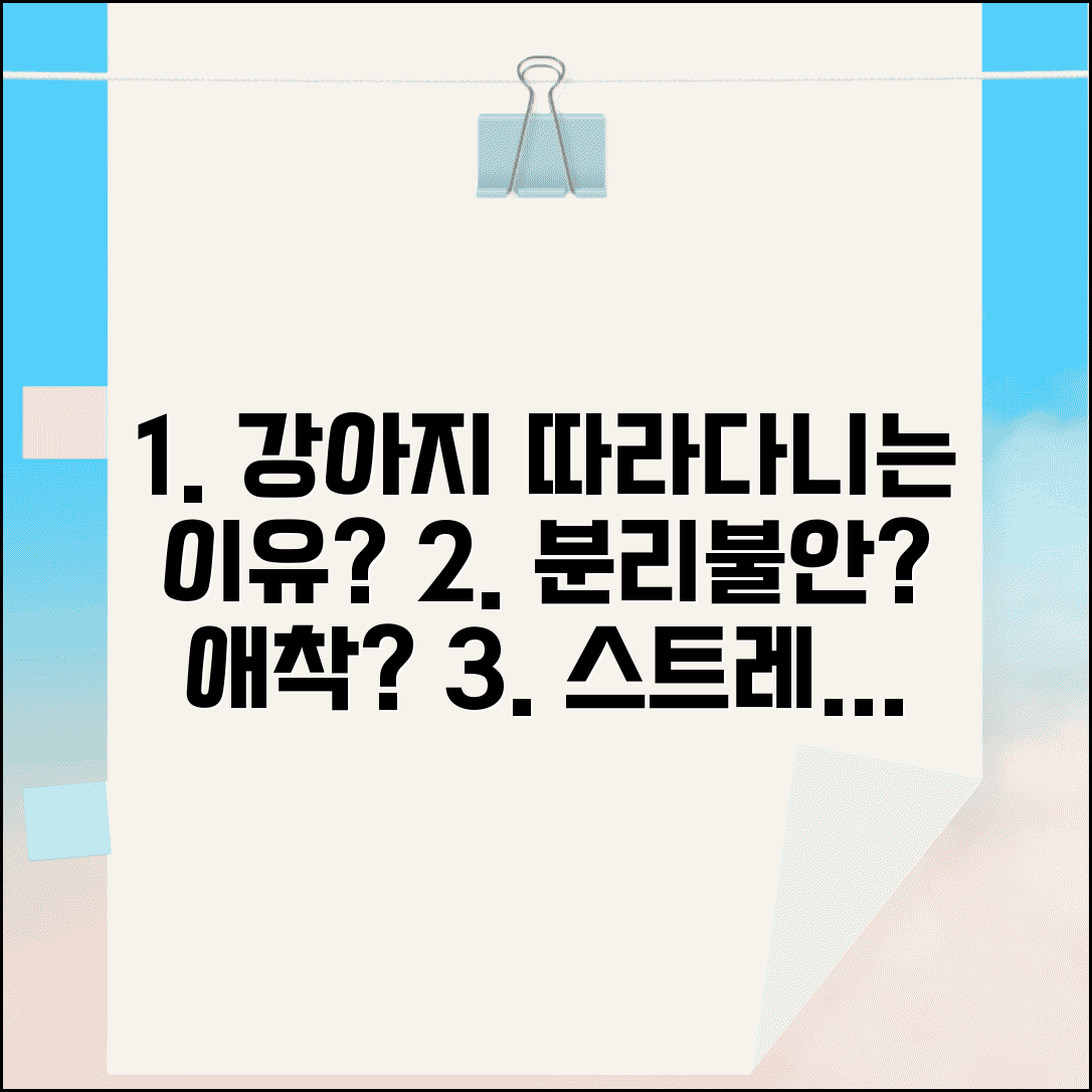 강아지 주인 따라다니는 이유, 혹시 분리불안인가요? | 강아지 애착, 스트레스 원인 찾기