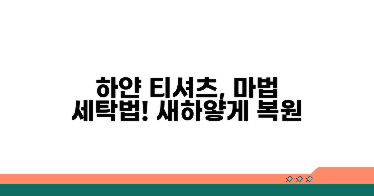 하얀 티셔츠 만드는 마법의 세탁법