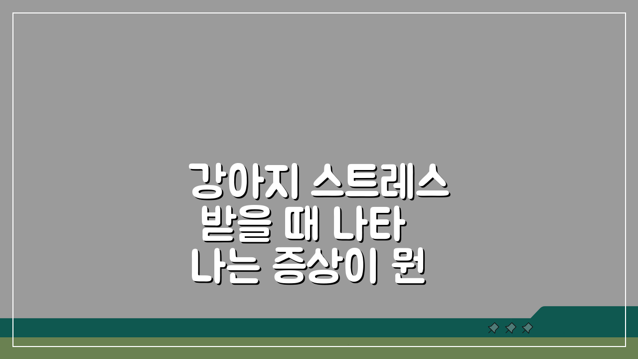 강아지 스트레스 받을 때 나타나는 증상이 뭔가요? 행동변화 징후 5가지