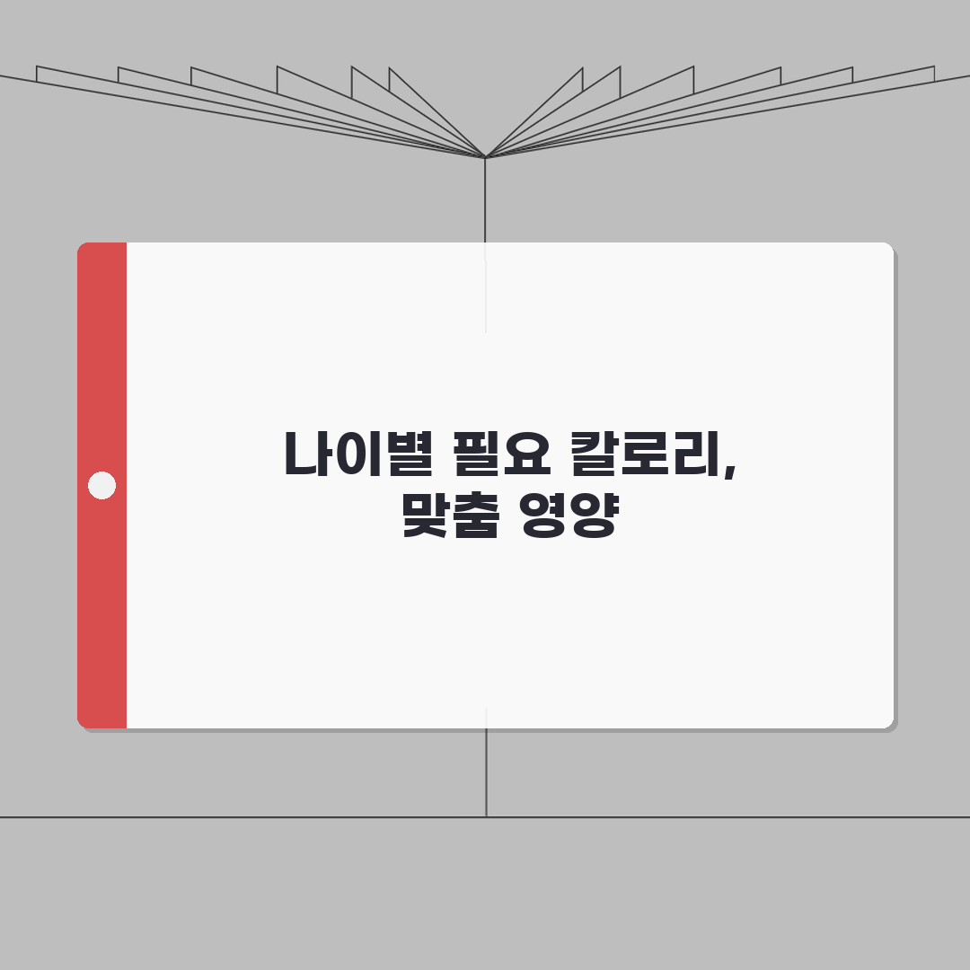 노인 연령별 칼로리 필요량표와 고령자 영양 관리 방법 완벽 가이드: 7가지 핵심 총정리