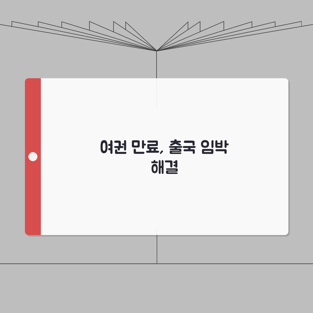 여권 만료 임박한데 해외출국 예약된 경우 해결법 총정리: 7가지 핵심 솔루션