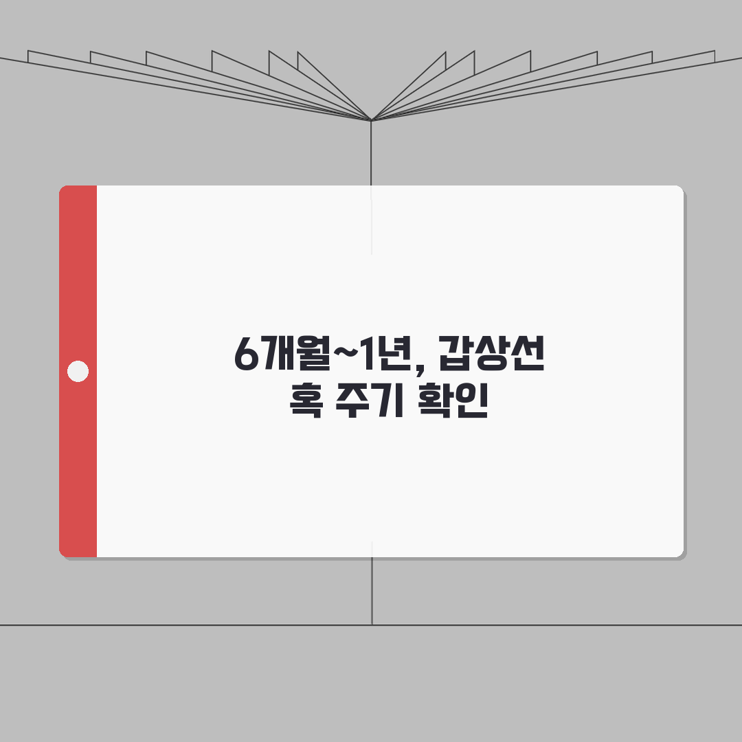 갑상선 초음파 검사 주기 6개월~1년 결절 | 갑상선 검사 주기 혹 확인 A to Z: 5
