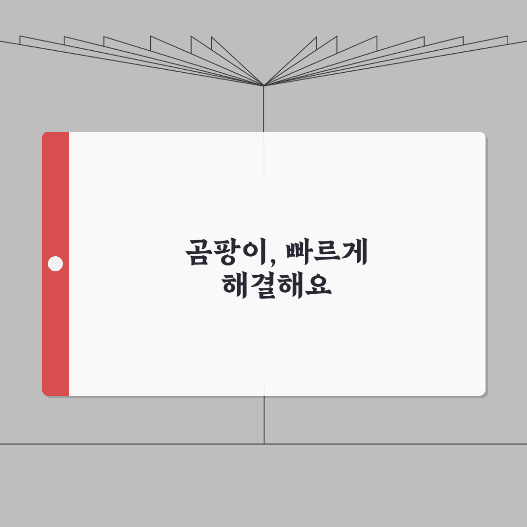 벽지 곰팡이 긴급대처: 즉시조치/임시방편 + 전문가 의뢰시기 완벽가이드 (5가지 방법)