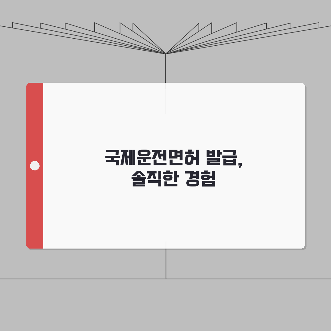 국제운전면허증 본인확인 절차 | 발급시 신원확인 방법과 준비물 직접 해봤어요