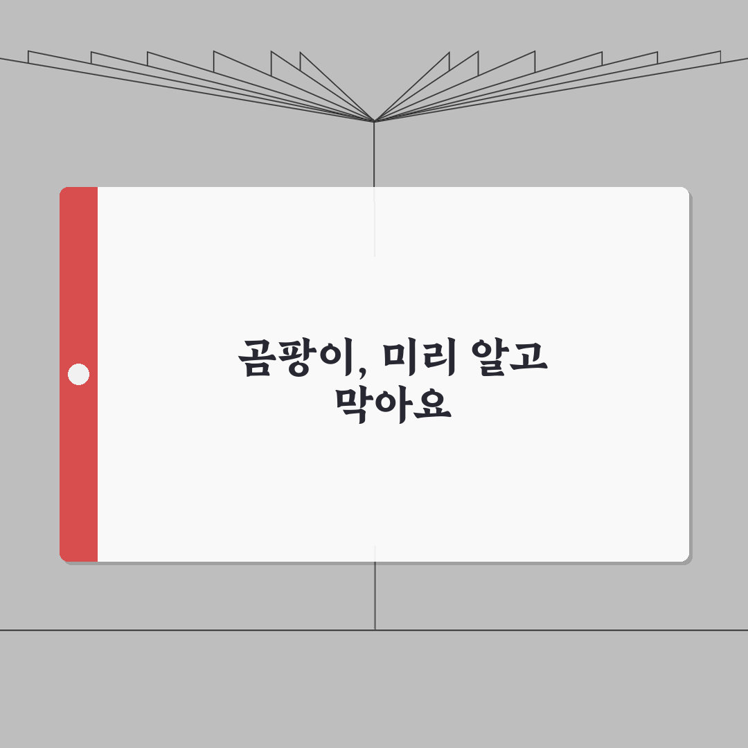 벽지 곰팡이 긴급대처: 즉시조치/임시방편 + 전문가 의뢰시기 완벽가이드 (5가지 방법)