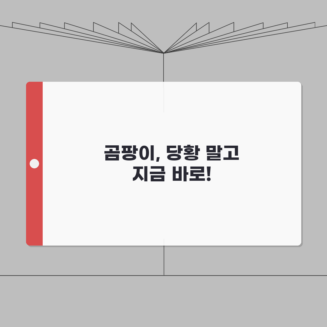 벽지 곰팡이 긴급대처: 즉시조치/임시방편 + 전문가 의뢰시기 완벽가이드 (5가지 방법)