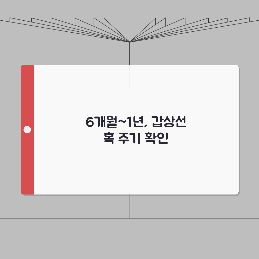 갑상선 초음파 검사 주기 6개월~1년 결절 | 갑상선 검사 주기 혹 확인 A to Z: 5